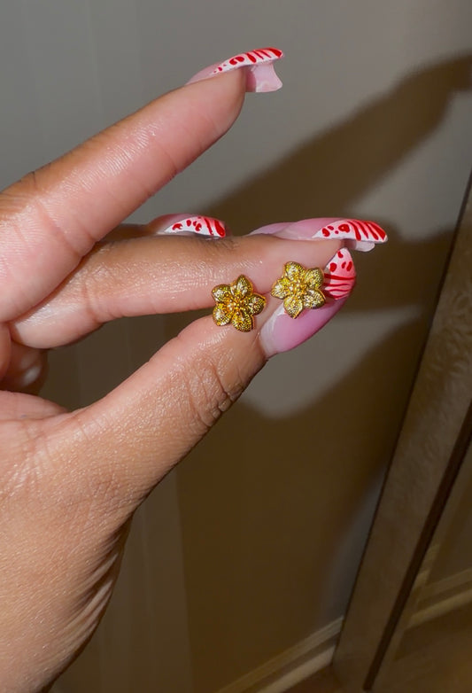 24k Gold Studs
